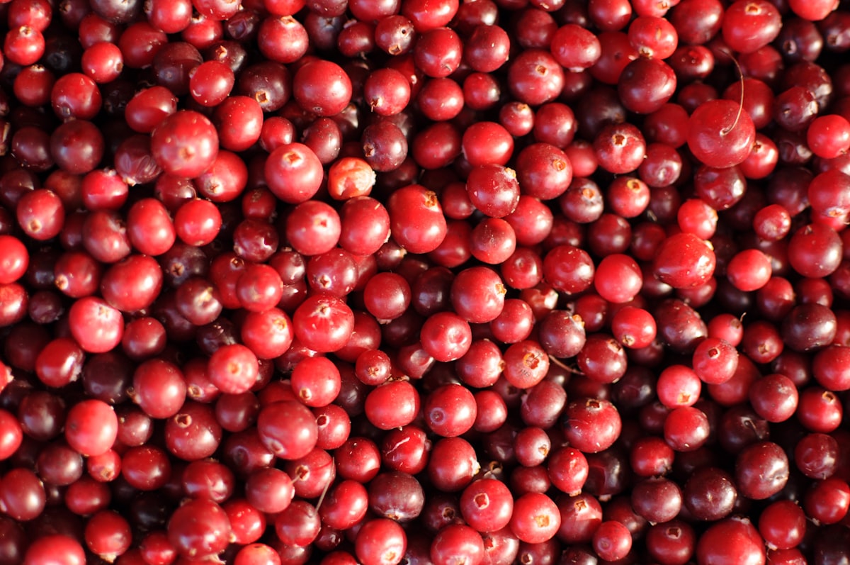 Fruits frais et sains
